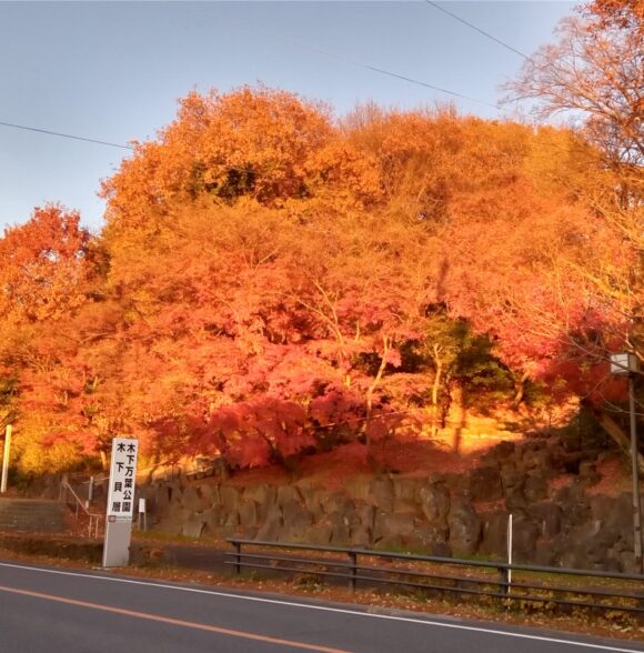 燃ゆる万葉公園