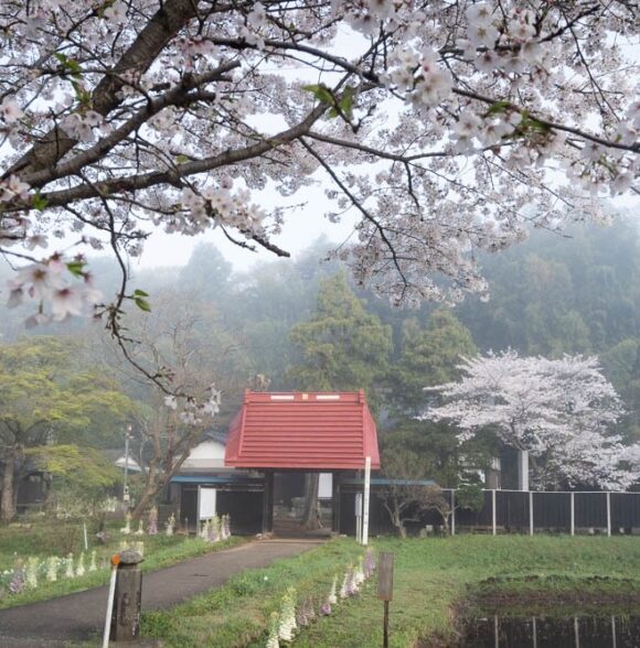 朝霧の結縁寺