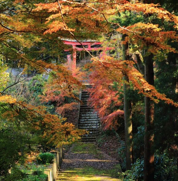 秋の稲荷神社