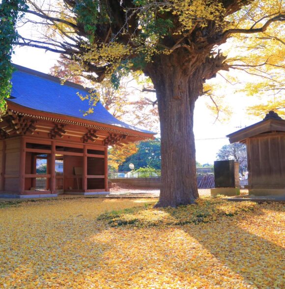 寺の秋